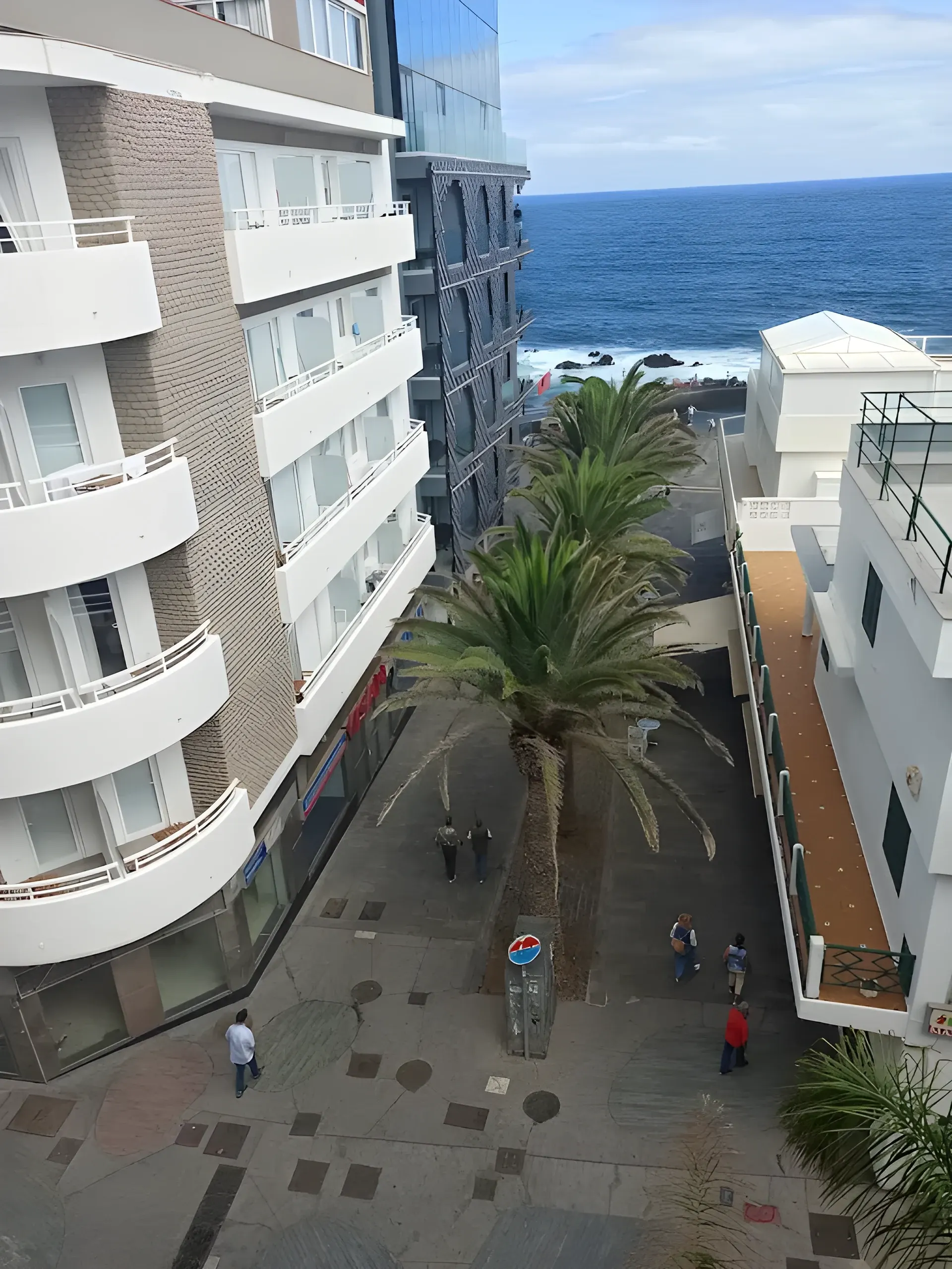Vistas a las palmeras y al mar desde el apartamento